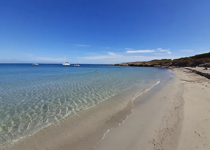 autour du hamac