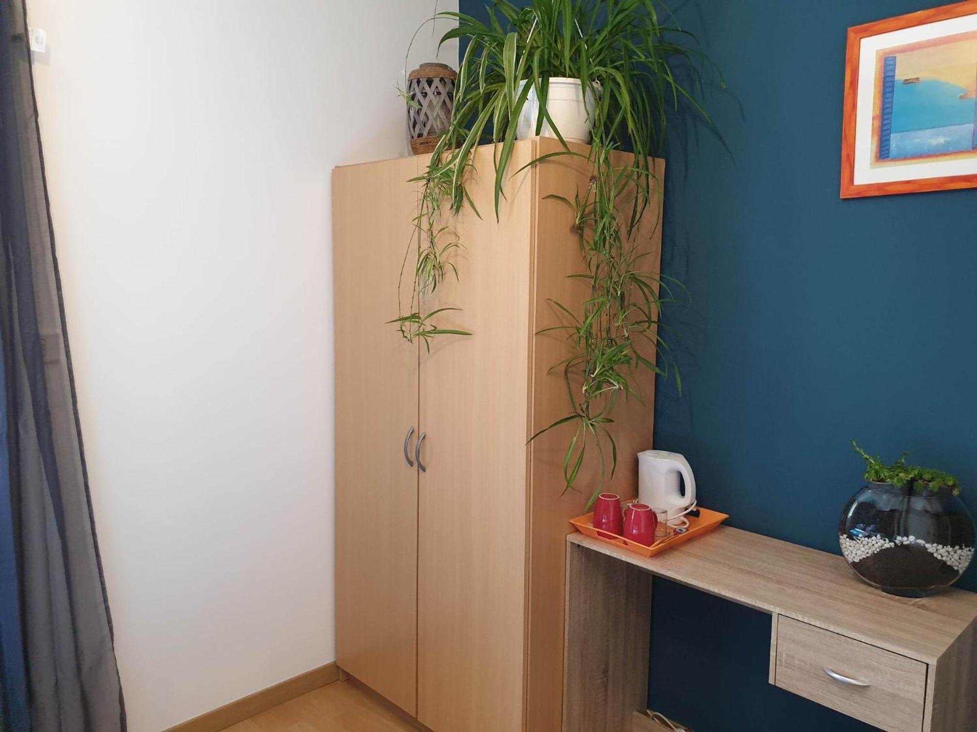 Habitación en casa particular Autour Du Hamac Et Table D'hotes Moltifao