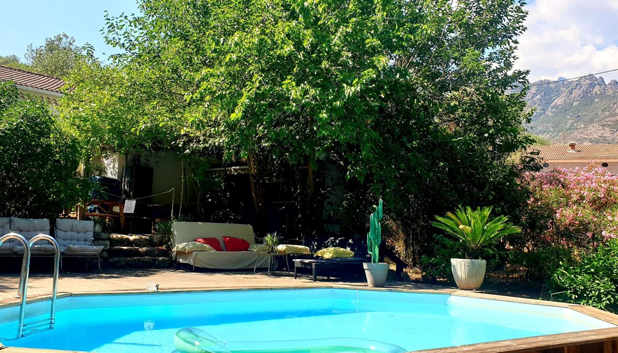 Homestay Autour Du Hamac Et Table D'hotes Moltifao