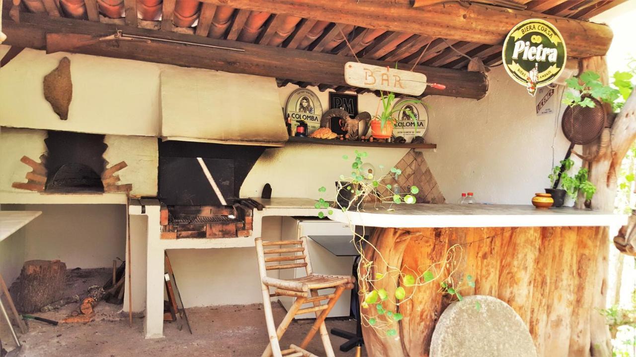 Autour Du Hamac *